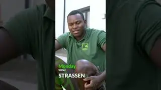 Quereinsteiger im GaLaBau