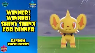 WINNER! WINNER! SHINY SHINX FOR DINNER. | Isle of Armor | Pokemon Sword/Shield