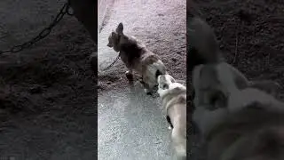 Continuing training for the future@@ 13