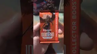 A Pack a Day - Innistrad Remastered Collectors Booster