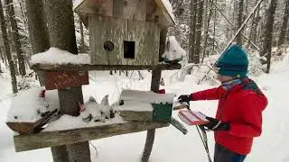 Небольшой горнолыжный курорт в Вермонте, где время словно остановилось…