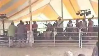 Weedstock 1999