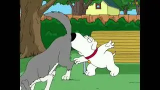 [Family Guy] Brian Can't Resist to Get in Touch with His Wild Side of Butt Sniffing
