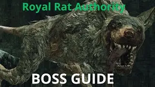 Dark Souls 2 | ГИД ПО БОССАМ SOTFS | Королевская крысиная власть
