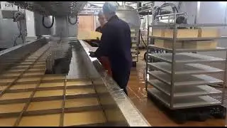 Пресс для сыра bertsch (10т\сут)