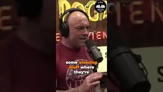 Joe Rogan & Hulk Hogan talk healing and stem cells #share #shortsvideo #shortsfeed #shortvideo