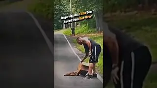 Inspiring Act! Little Deer Saved from Run-Over! ❤🦌 #shorts #viral