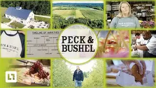 Peck & Bushel | Live Video