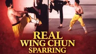 Chi - Sau to Free Sparring 