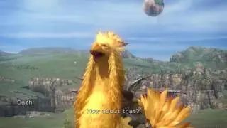 Sazh's chocobo breaks the universe