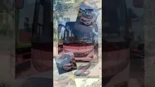 BUS MEDIUM MITSUBISHI CANTER?? #mustika88 #pool88 #mustikatruck #busmedium #busmania #busmitsubishi