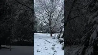 Winter 2022 || Snow Fall || Cheltenham || England