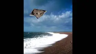 vidos