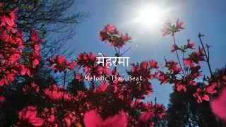 Melodic Ambient Trap Beat | Acoustic Guitar | Sweet Bass Love Type Hip Hop Beat