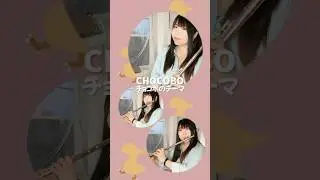 【Final Fantasy】Chocobo&rsquo;s Theme on Flute 🐥🪈 #vgm #finalfantasy #flute