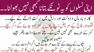 Rumi Quotes in Urdu |Quotes About life/ Motivational Islamic Quotes//Golden Words❤️Hazrat Ali quotes