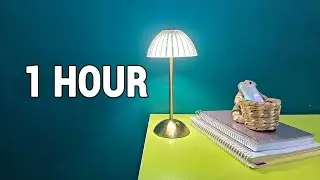 1 HOUR Study With Me | Balanced Focus | Rain Ambience, No Music