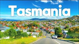 3 Days Roadtrip in Tasmania | Scenic Drive, Bruny Island, Mt Wellington, Cherries & Coastal Escapes