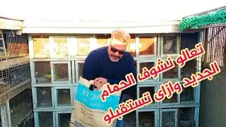تعالو نشوف جبت ايه جديد جوله سريعه على الحمام الجديد وازاى تستقبلو