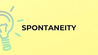 What is the meaning of the word SPONTANEITY?