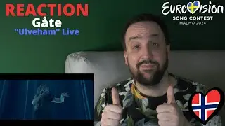 🇳🇴 NORWAY / REACTION: 
