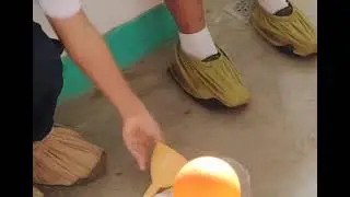 🧪 Experiment Title: Inflating a Balloon with Baking Soda and Vinegar