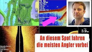 ► ECHOLOT - An diesem Spot fahren die MEISTEN Angler vorbei! ⌲ DU auch? ★★★★★ (Update 2023)