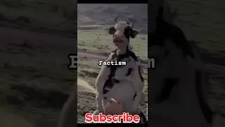 Smart Science Tricks #shortsfeed #shorts #factism #facts #lifehacks #tricks #trickshots #planet