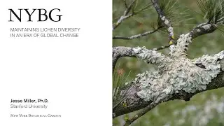 Maintaining Lichen Diversity in an Era of Global Change