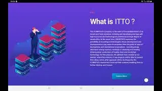 G4GCoin video review