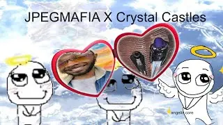 if JPEGMAFIA and Crystal Castles had a baby it would sound like this