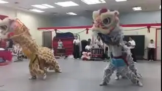 2017 QWKF Christmas Lion Dance Performance