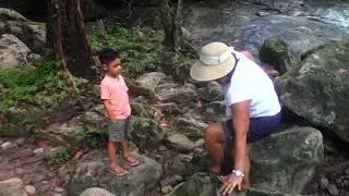 Mayflower Bocawina National Park for Nature Lovers