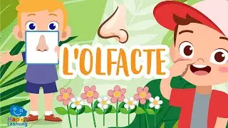 L'olfacte | V&iacute;deos educatius per a nens en llengua catalana