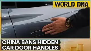 China to Ban Hidden Car Door Handles on Electric Vehicles | WORLD DNA
