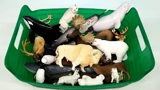 Polar, Tundra and Antartica Animal  Toy Figurines Collection