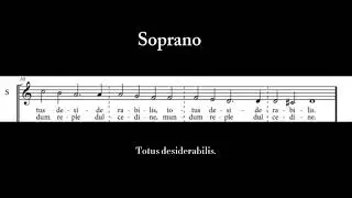 Jesu Rex Admirabilis - Palestrina - Soprano Line Practice Video