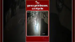 Pune Dog Attack: युवक पर 6 कुत्तों ने किया हमला, CCTV में हुआ कैद | CCTV Footage | Viral Video