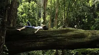 Tree Sanctuary Uncurling