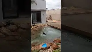 piscina natural 64.99214.6614