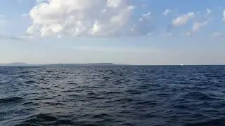 Brig 360 Rib Falcon +Y 20С максимальная скорость.
