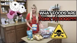 What foods are Toxic to Dogs?! | Human Food can Kill dogs!!