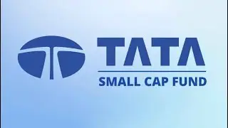 💰TATA SMALL CAP FUND 2024 | How performance of Tata small cap |Small Cap SIP | Review in Hindi 💵💰