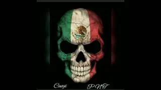 Dicen  ( The Panter Side )
