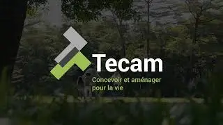 Tecam pr&eacute;sentation de l'image de marque - identit&eacute; visuelle- logo