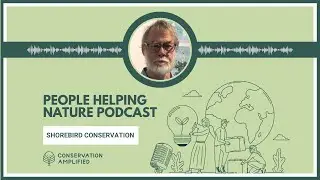Shorebird Conservation: Connecting Habitats, Countries & People (EP35 with Keith Woodley)