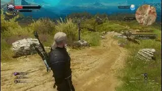 The Witcher 3 |BEST AARD BUILD|