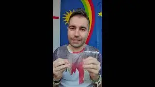 FOI MAL - Cómo disculparse en portugués de Brasil - Aprender portugués con Brasil A Medida