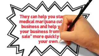 marijuana consulting