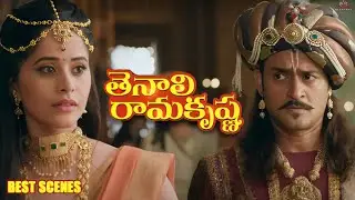 Tenali Ramakrishna | Best Scenes-2 | తెనాలి రామకృష్ణ బుద్ధి  | Contiloe Studios Telugu #tenali